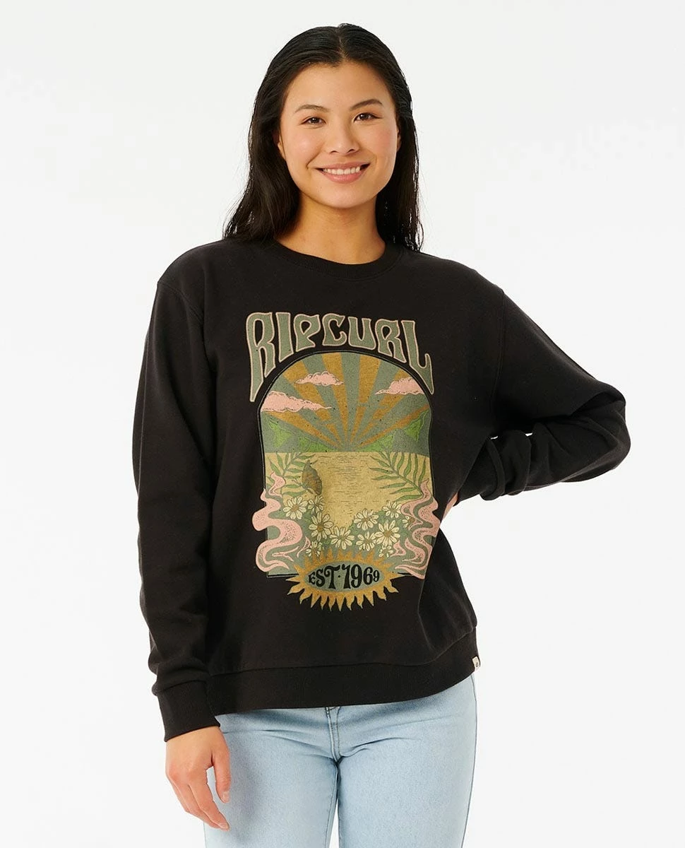 Cosmic Wanderer Crew